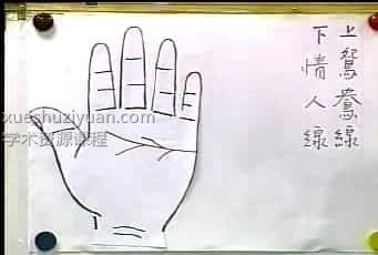 林盛翰-手相教学视频11集+资料插图