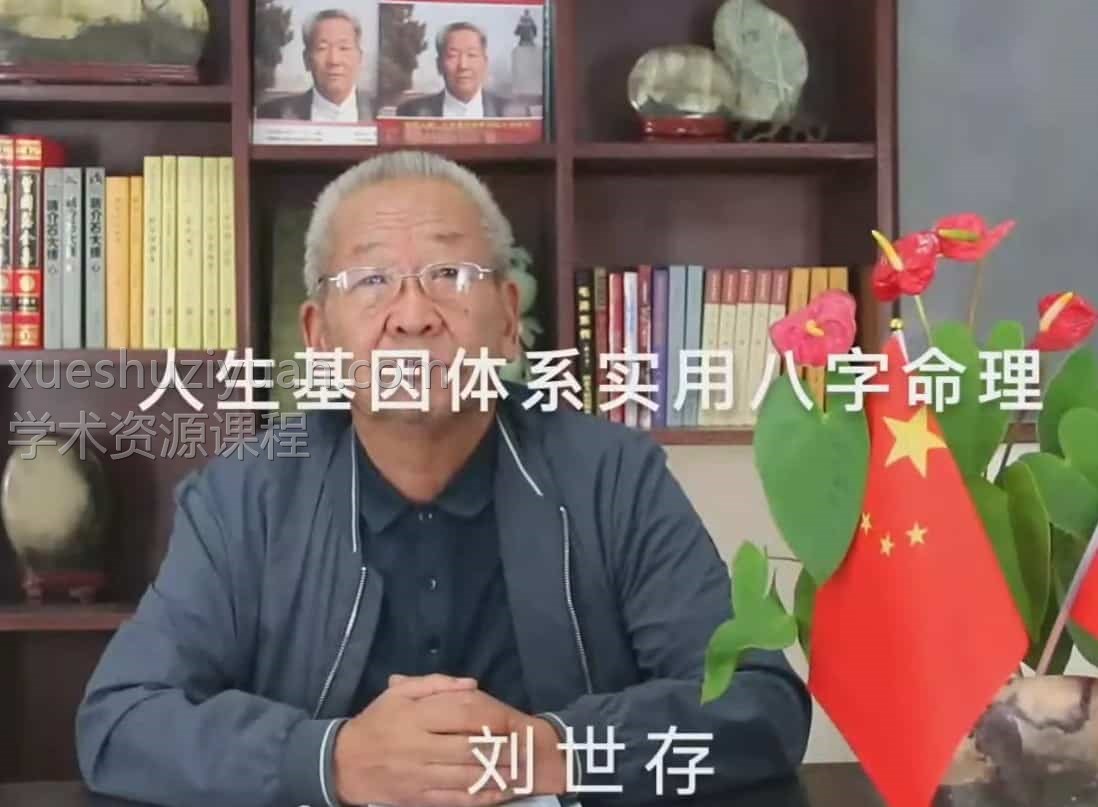 刘世存2019人生基因体系实用八字命理视频插图