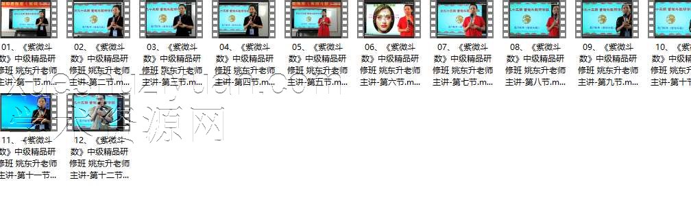 93期 姚东升老师主讲《紫微斗数》研修班-12集插图