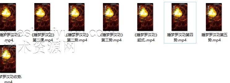 洞玄《睡梦罗汉功 大梦真法》视频8集ps插图