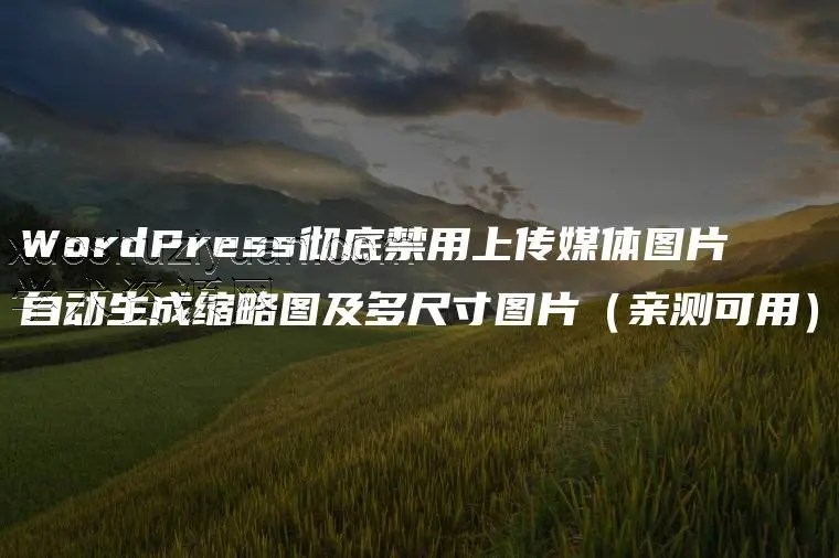 WordPress 彻底禁用上传媒体图片自动生成缩略图及多尺寸图片插图 WordPress 彻底禁用上传媒体图片自动生成缩略图及多尺寸图片插图